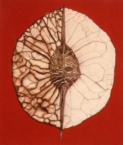 Leaf 50 x 55 cm, Ink and acrylic on paper 1969, Lilya Pavlovic-Dear